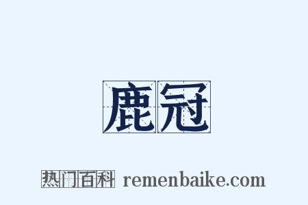 鹿冠是什么意思的图片